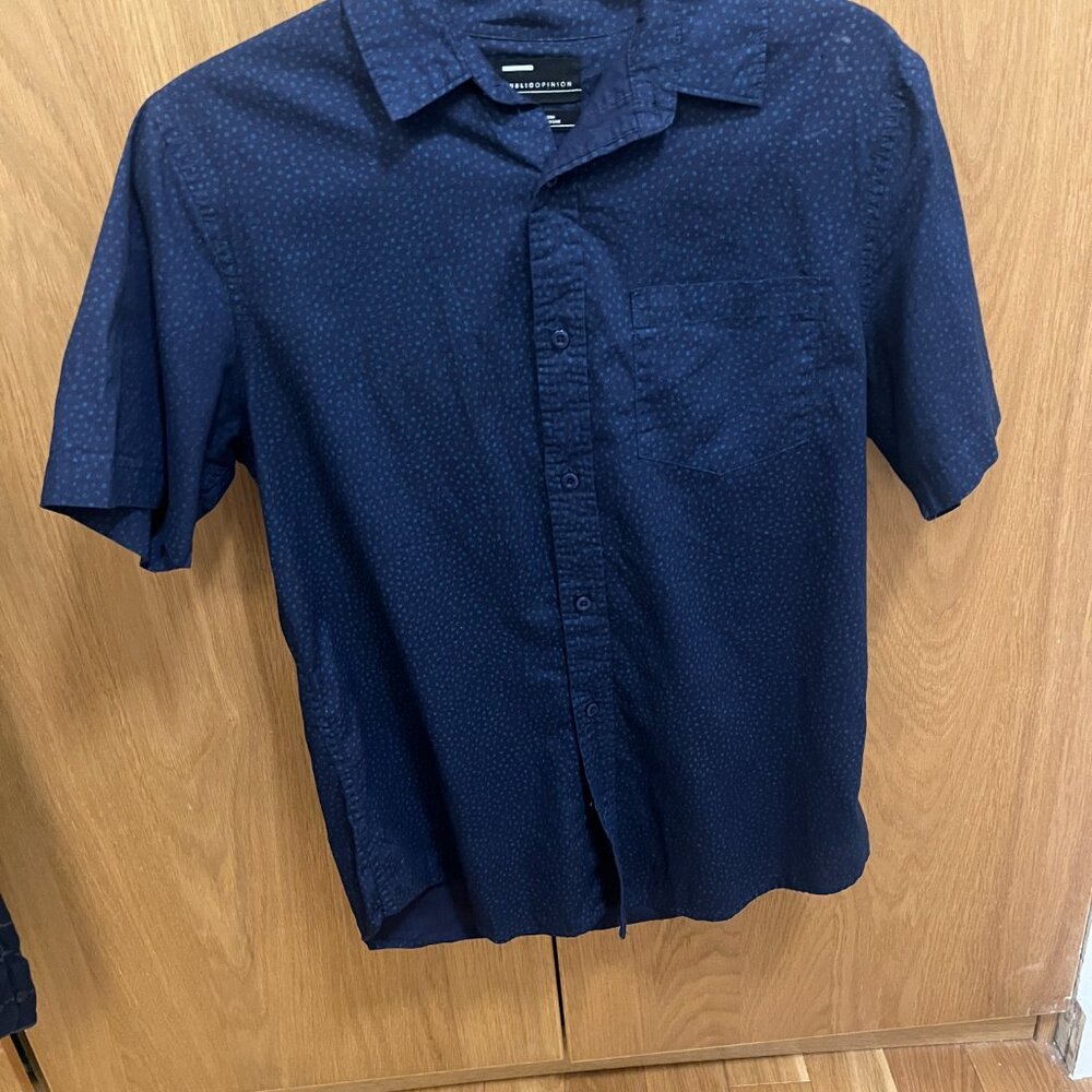 Public Opinion Button Down